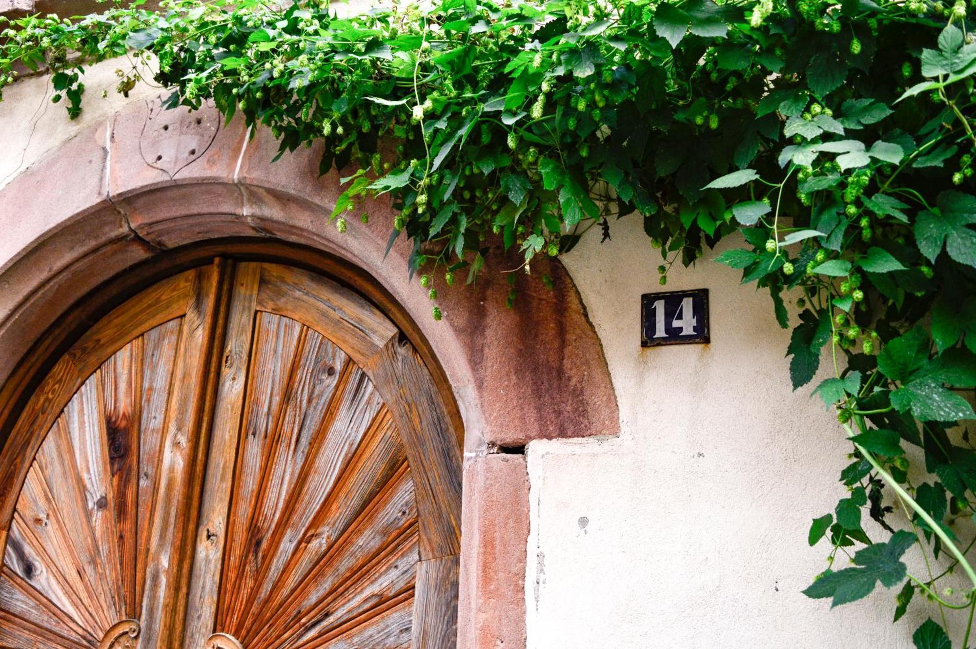 Chaud'Vin Lägenhet Kaysersberg-Vignoble Exteriör bild